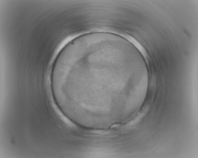 X0000115391005200911241242