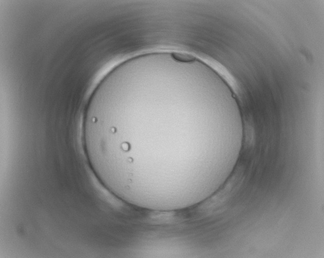 X0000115391006200911241242