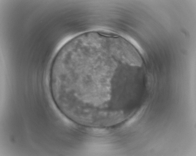 X0000115391007200911241242