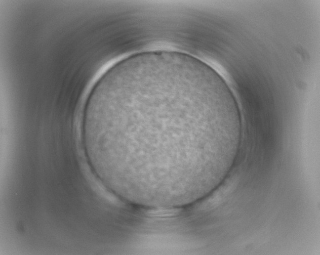 X0000115391008200911241242