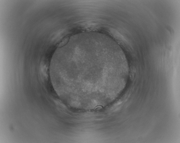 X0000115391010200911241242