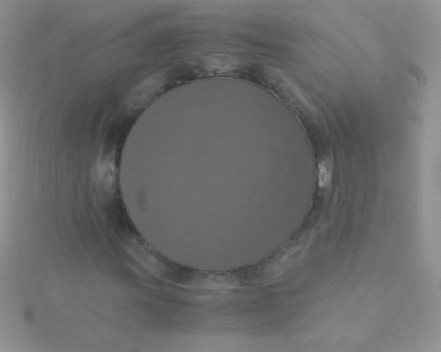 X0000115391011200911241242