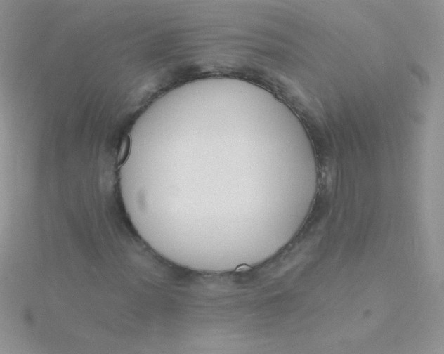 X0000115391012200911241242