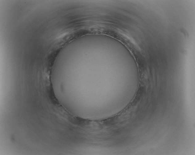 X0000115391013200911241242