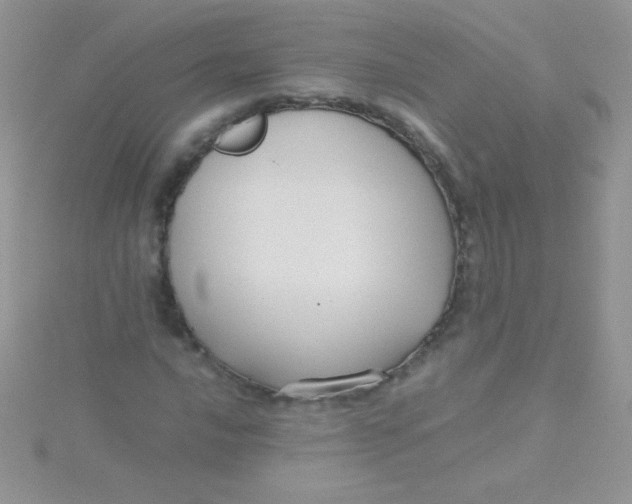 X0000115391016200911241242