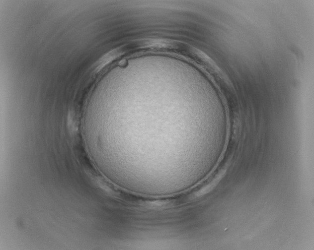 X0000115391017200911241242