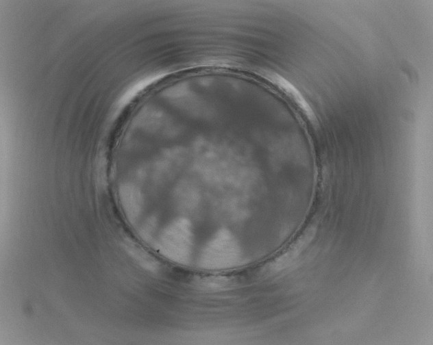 X0000115391019200911241242