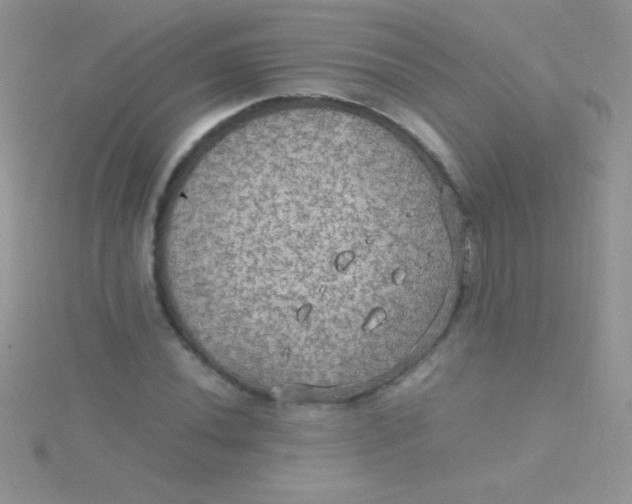 X0000115391020200911241242