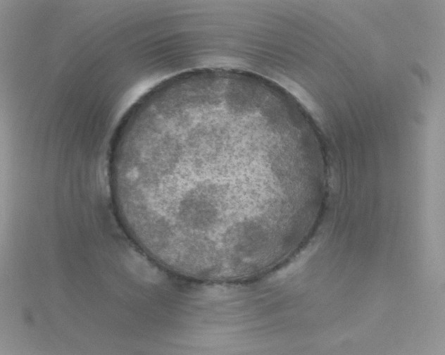 X0000115391022200911241242