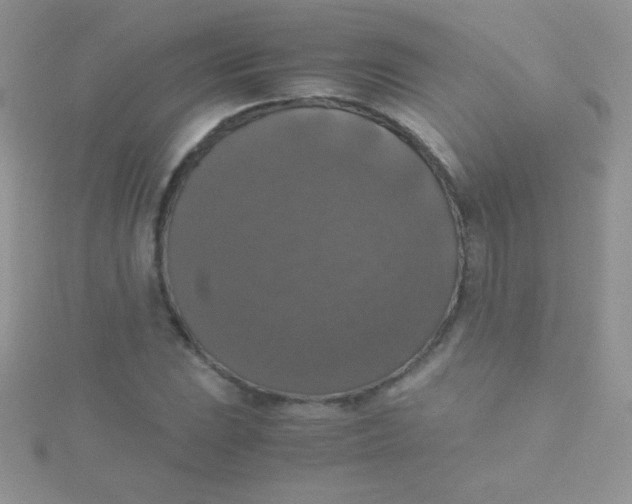 X0000115391023200911241242