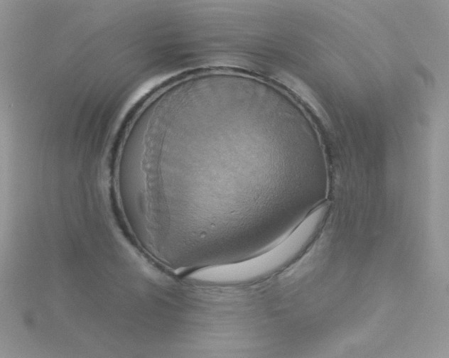 X0000115391024200911241242