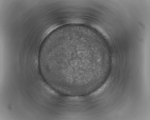 X0000115391025200911241242