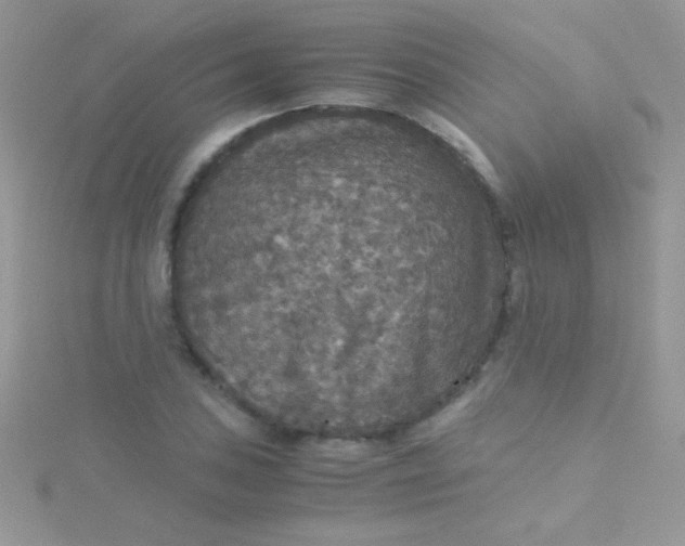 X0000115391027200911241242