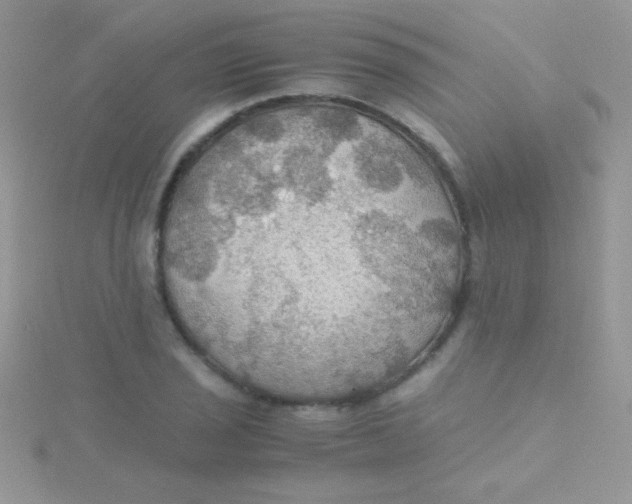 X0000115391029200911241242