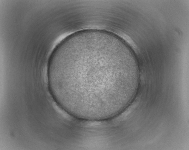 X0000115391030200911241242