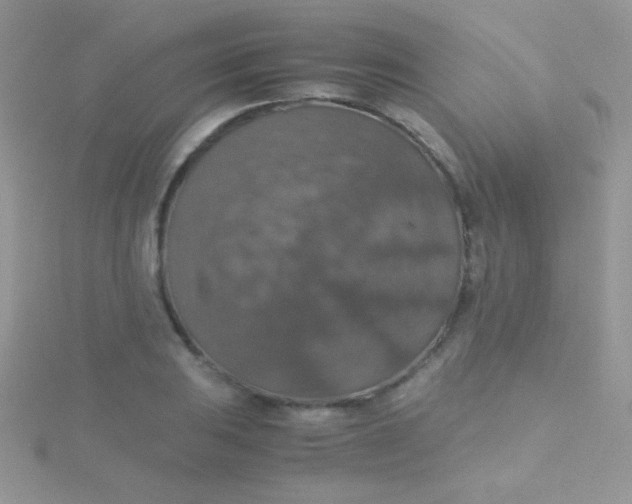 X0000115391031200911241242