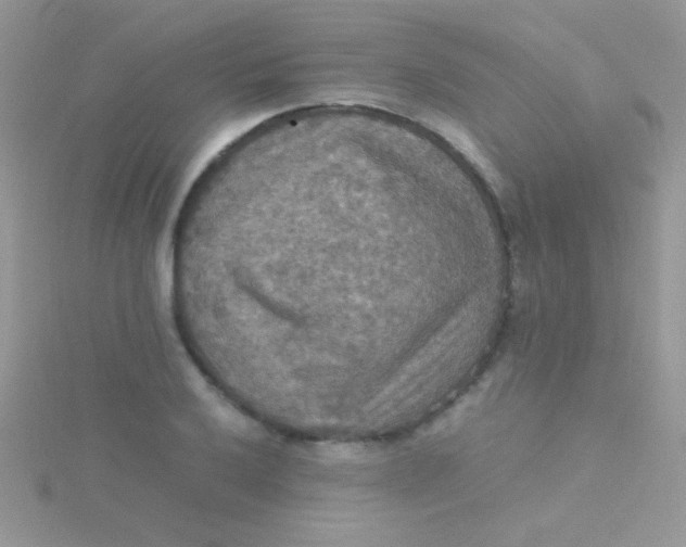 X0000115391032200911241242