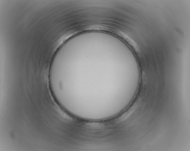 X0000115391033200911241242