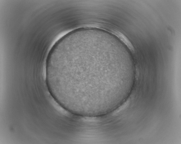 X0000115391036200911241242