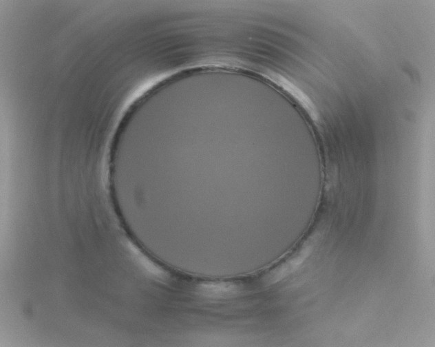 X0000115391037200911241242