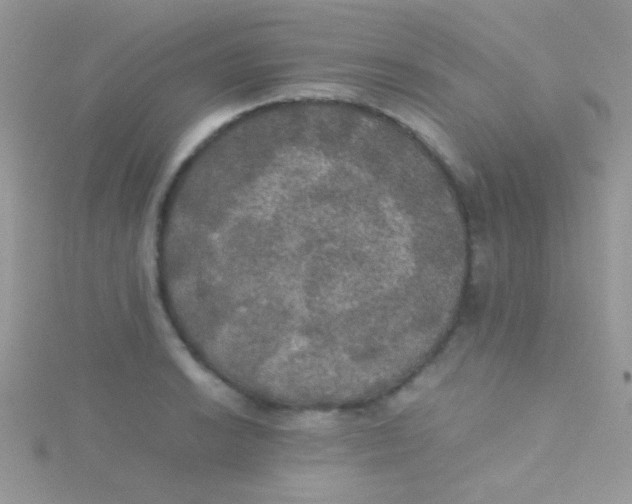 X0000115391038200911241242