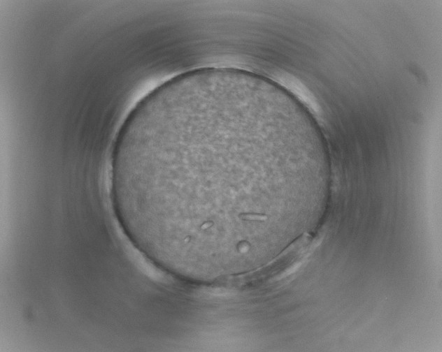 X0000115391040200911241242