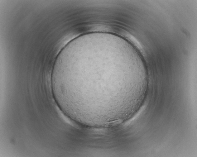 X0000115391041200911241242