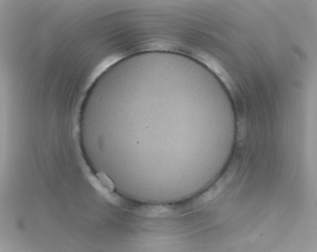 X0000115391042200911241242