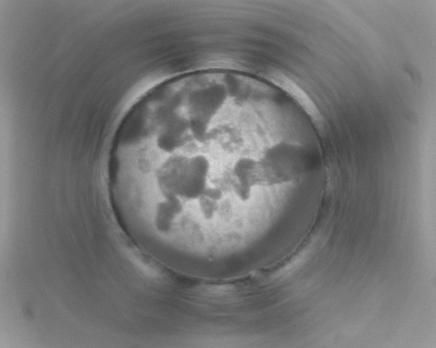 X0000115391043200911241242