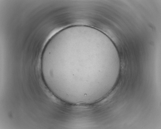 X0000115391044200911241242