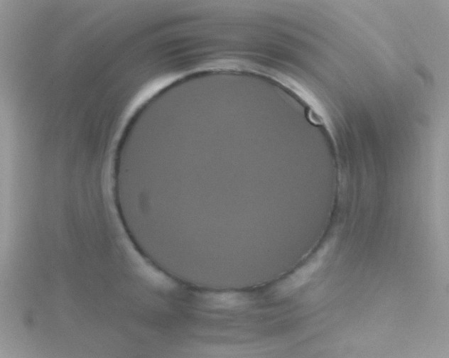 X0000115391045200911241242