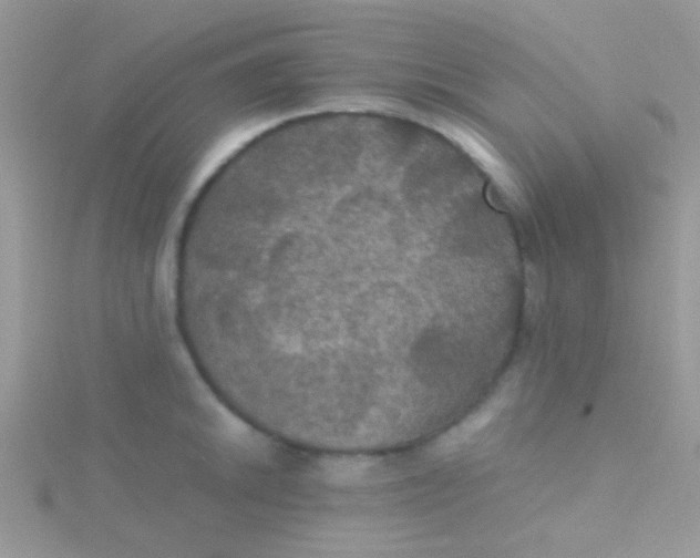 X0000115391046200911241242