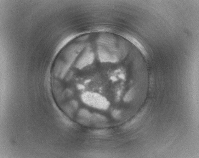 X0000115391047200911241242