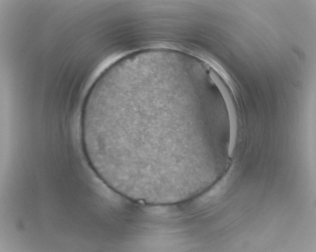 X0000115391048200911241242