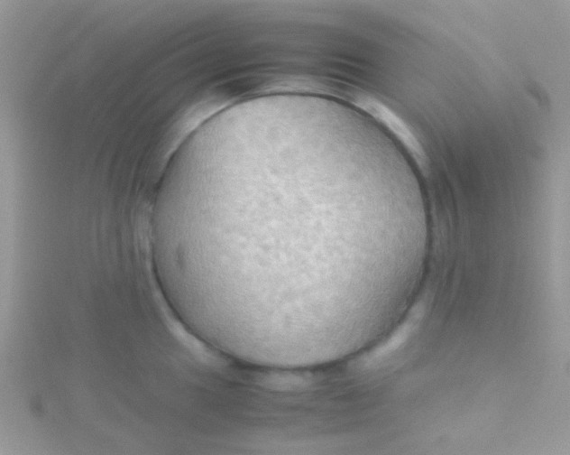 X0000115391049200911241242