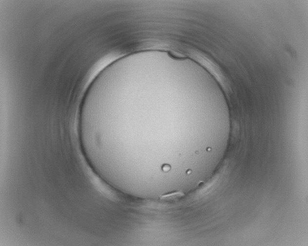 X0000115391050200911241242