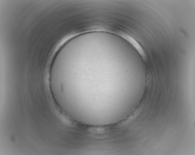 X0000115391051200911241242