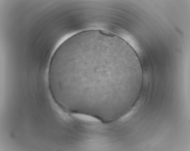 X0000115391052200911241242