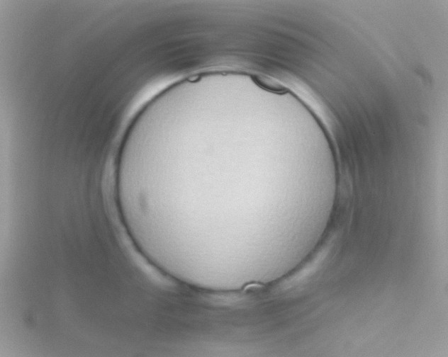 X0000115391053200911241242