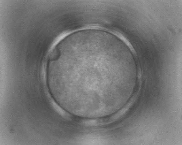 X0000115391054200911241242