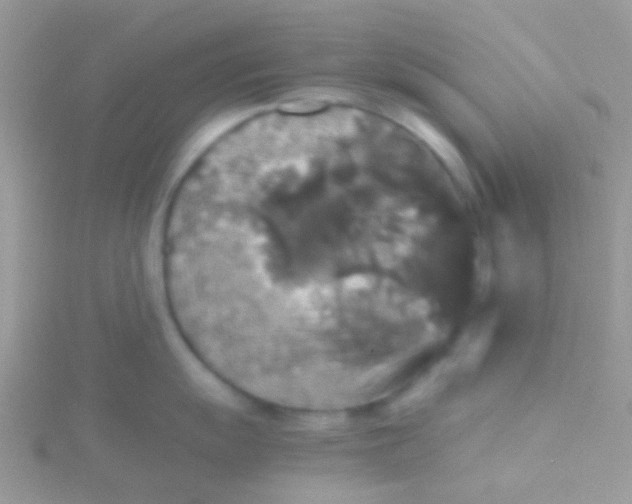 X0000115391055200911241242