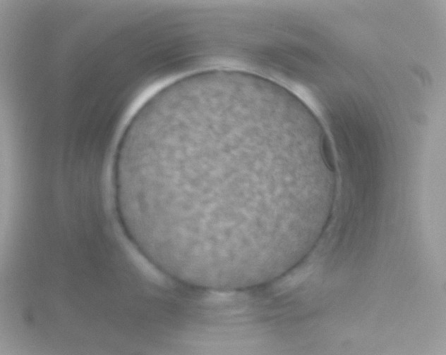 X0000115391056200911241242