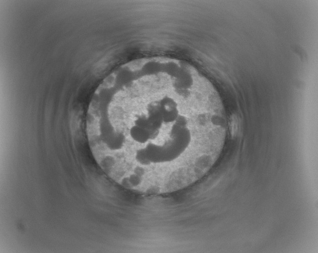 X0000115391059200911241242