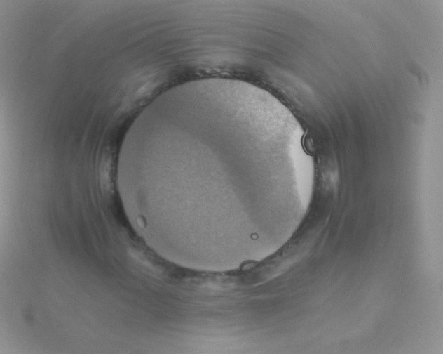 X0000115391060200911241242