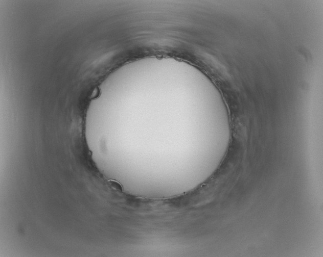 X0000115391061200911241242