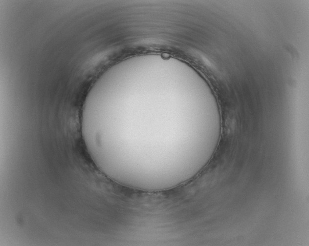 X0000115391062200911241242