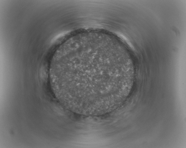 X0000115391063200911241242