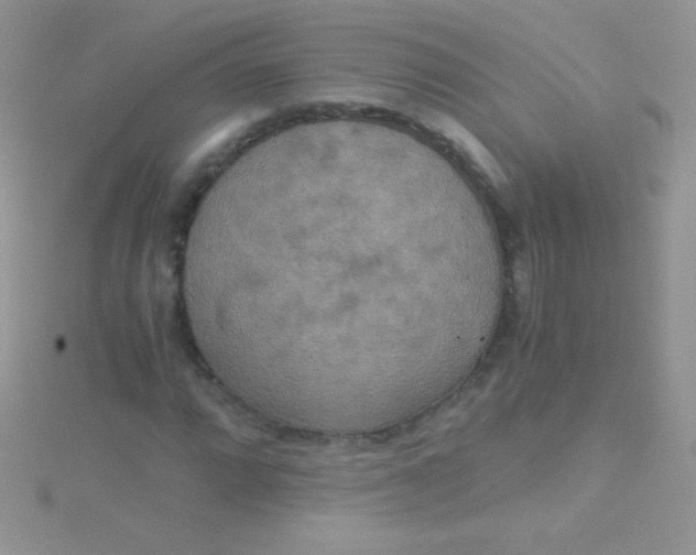 X0000115391064200911241242