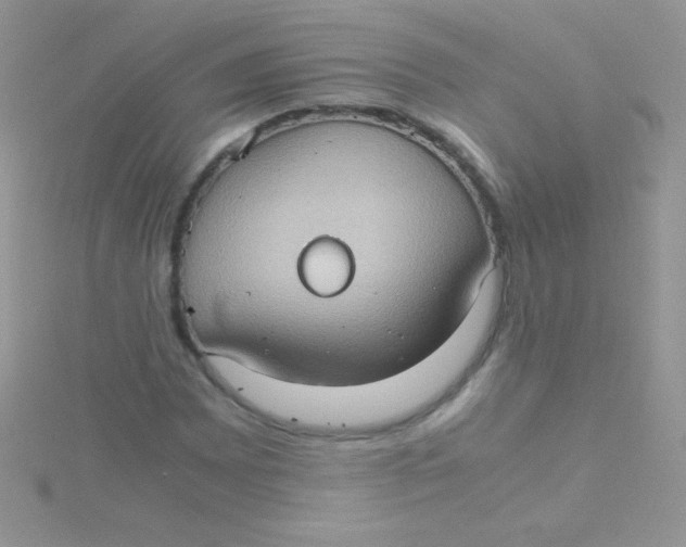 X0000115391065200911241242