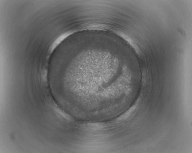 X0000115391066200911241242